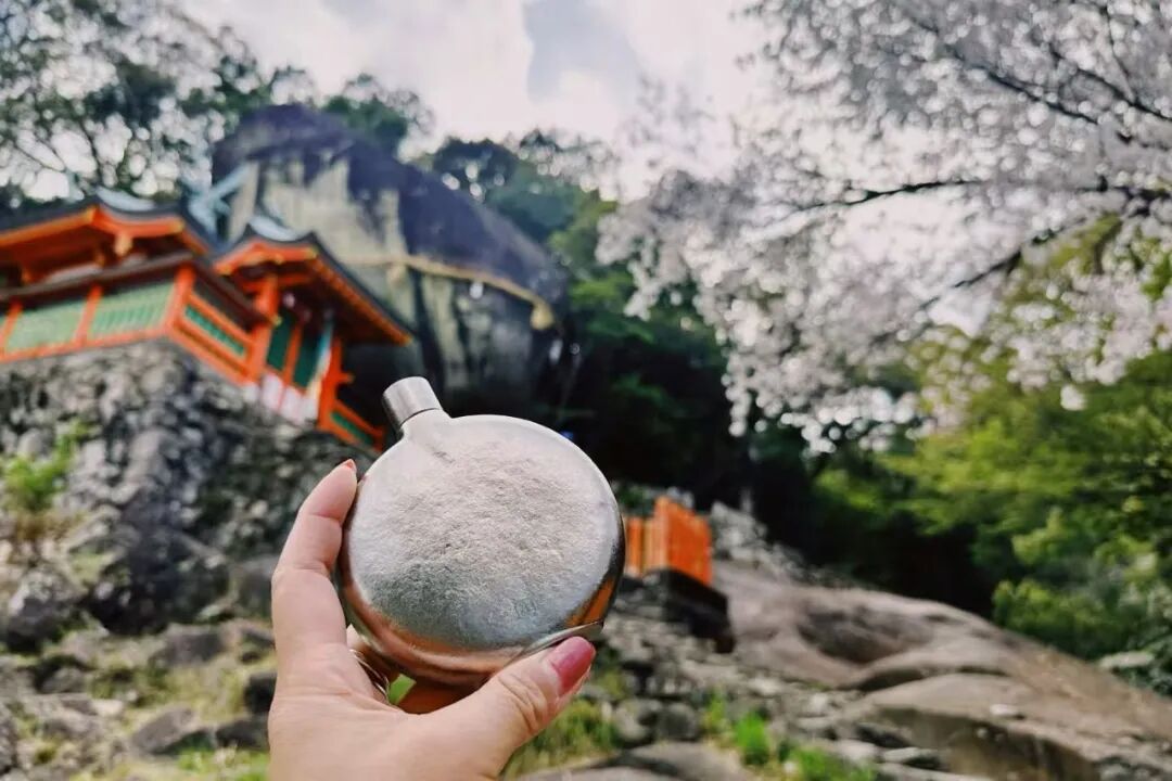 山迹街GoOut｜山樱古道满，熊野遍路时（2026年樱花季熊野古道徒步）