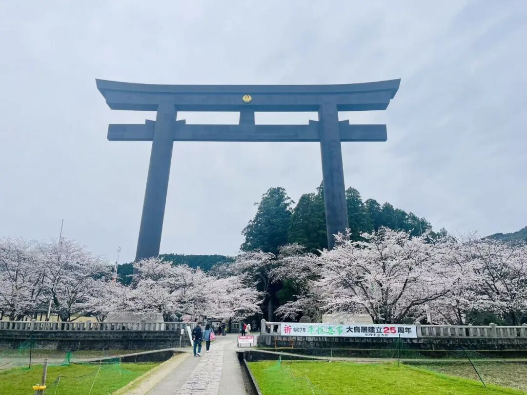 山迹街GoOut｜山樱古道满，熊野遍路时（2026年樱花季熊野古道徒步）