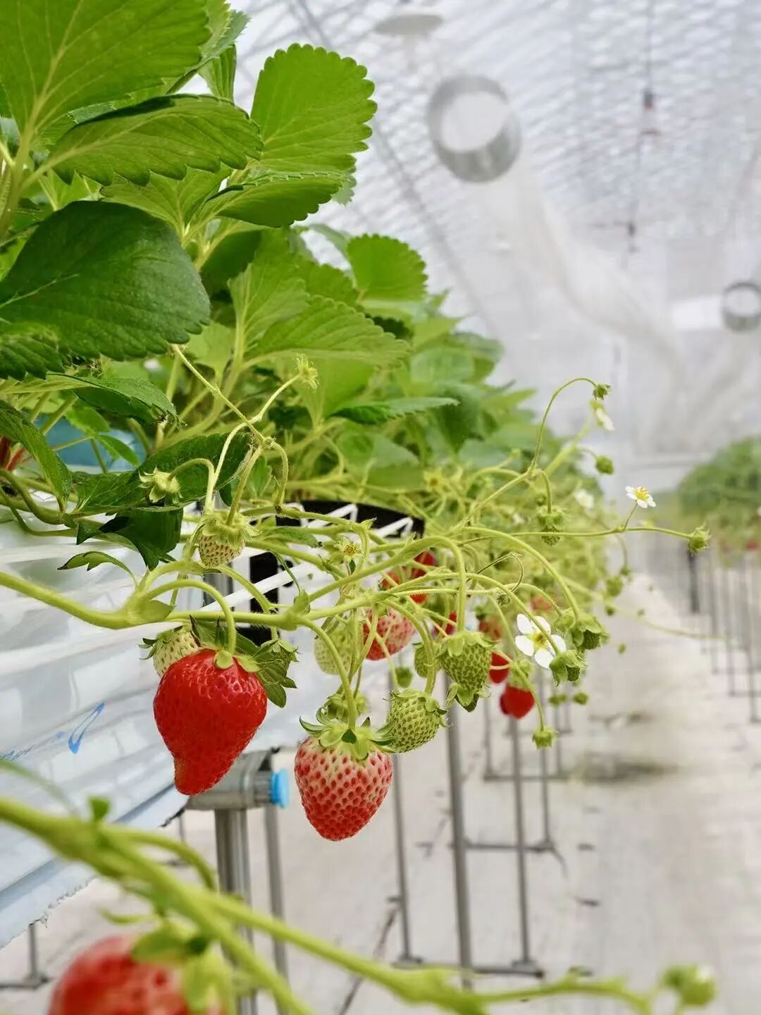 山迹街ESSAY｜何以会津？