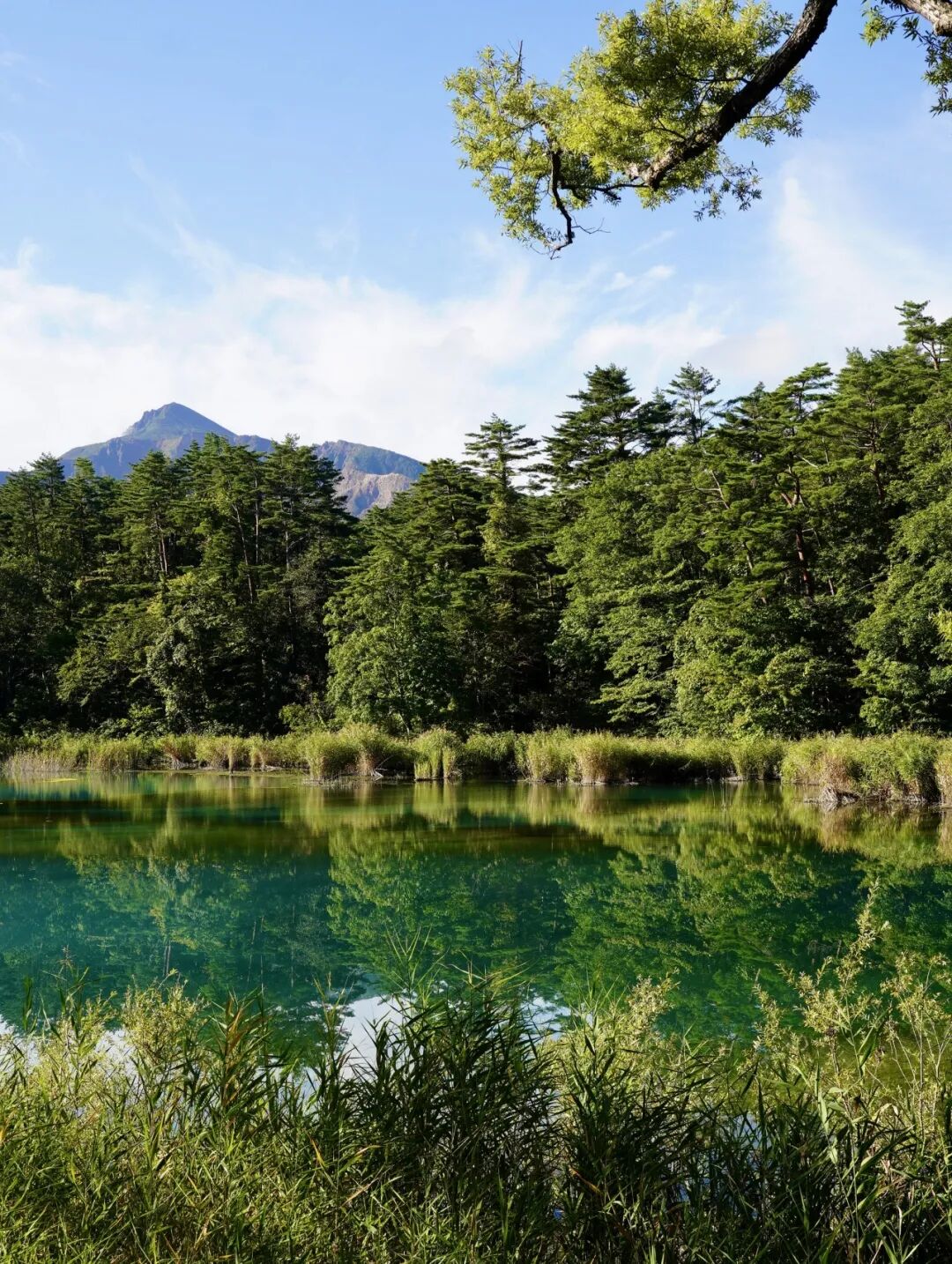 山迹街ESSAY｜何以会津？