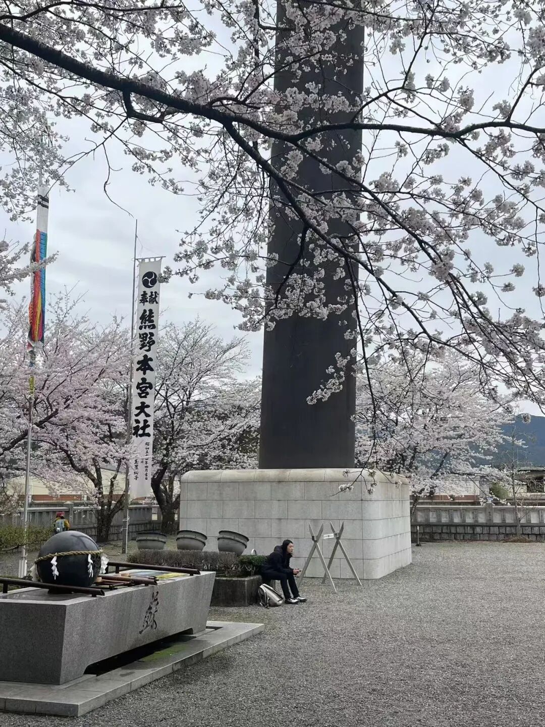 山迹街GoOut｜山樱古道满，熊野遍路时（2026年樱花季熊野古道徒步）