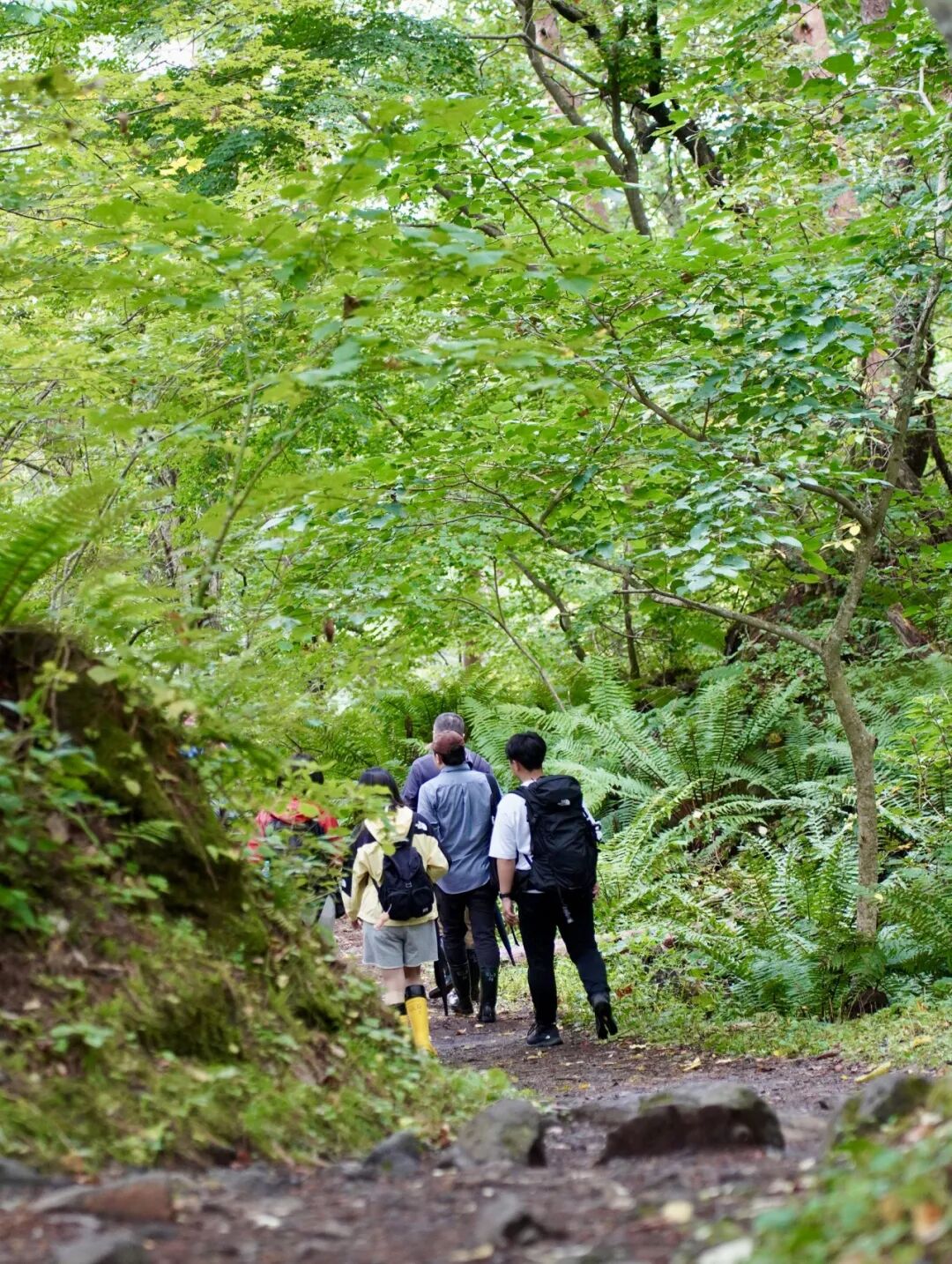 山迹街ESSAY｜何以会津？