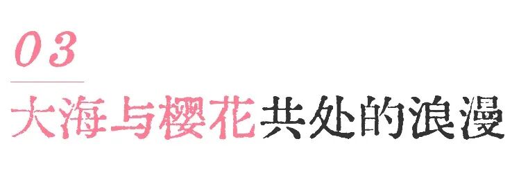 山迹街GoOut｜山樱古道满，熊野遍路时（2026年樱花季熊野古道徒步）