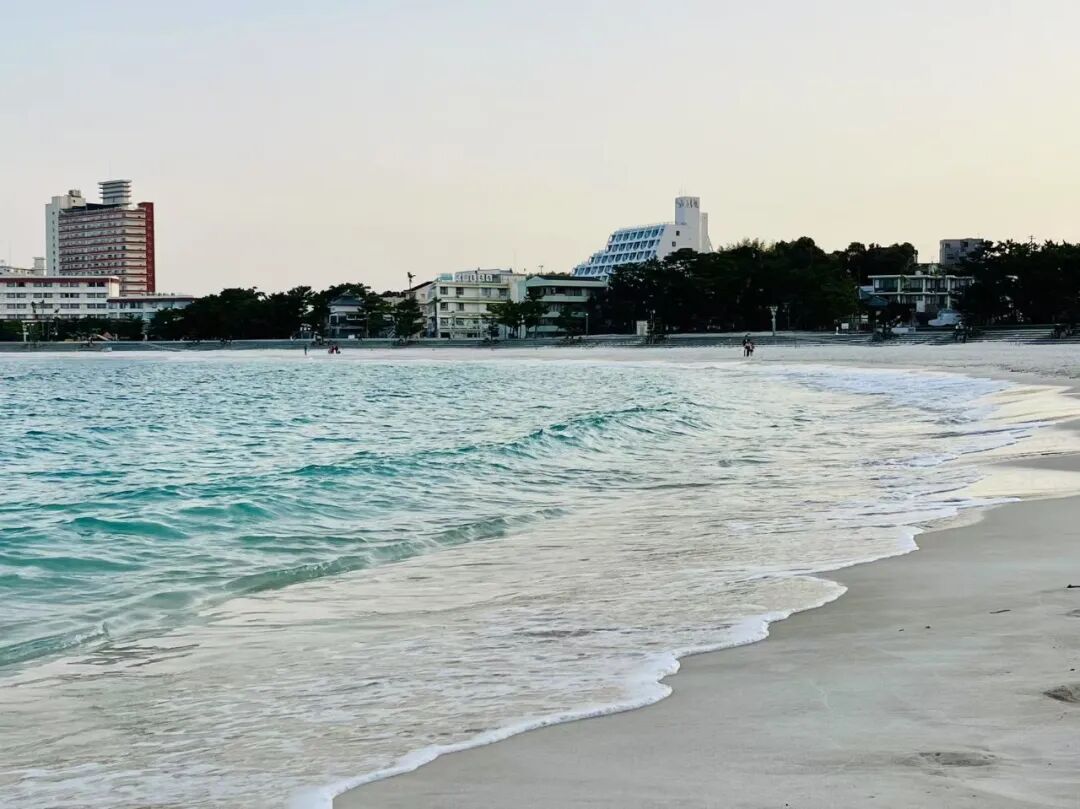 山迹街GoOut｜山樱古道满，熊野遍路时（2026年樱花季熊野古道徒步）