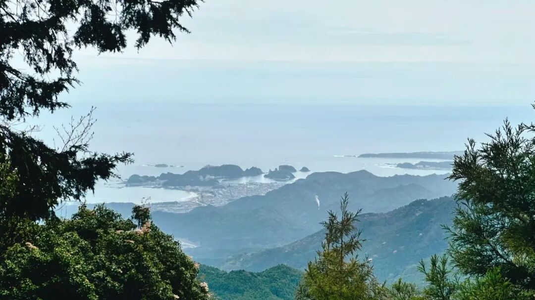 山迹街GoOut｜山樱古道满，熊野遍路时（2026年樱花季熊野古道徒步）