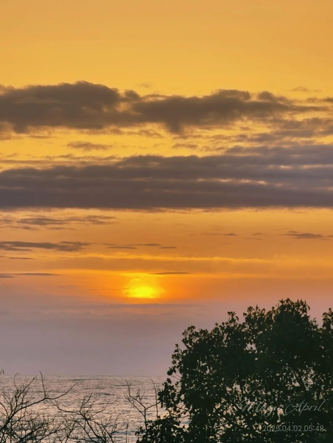 山迹街GoOut｜山樱古道满，熊野遍路时（2026年樱花季熊野古道徒步）