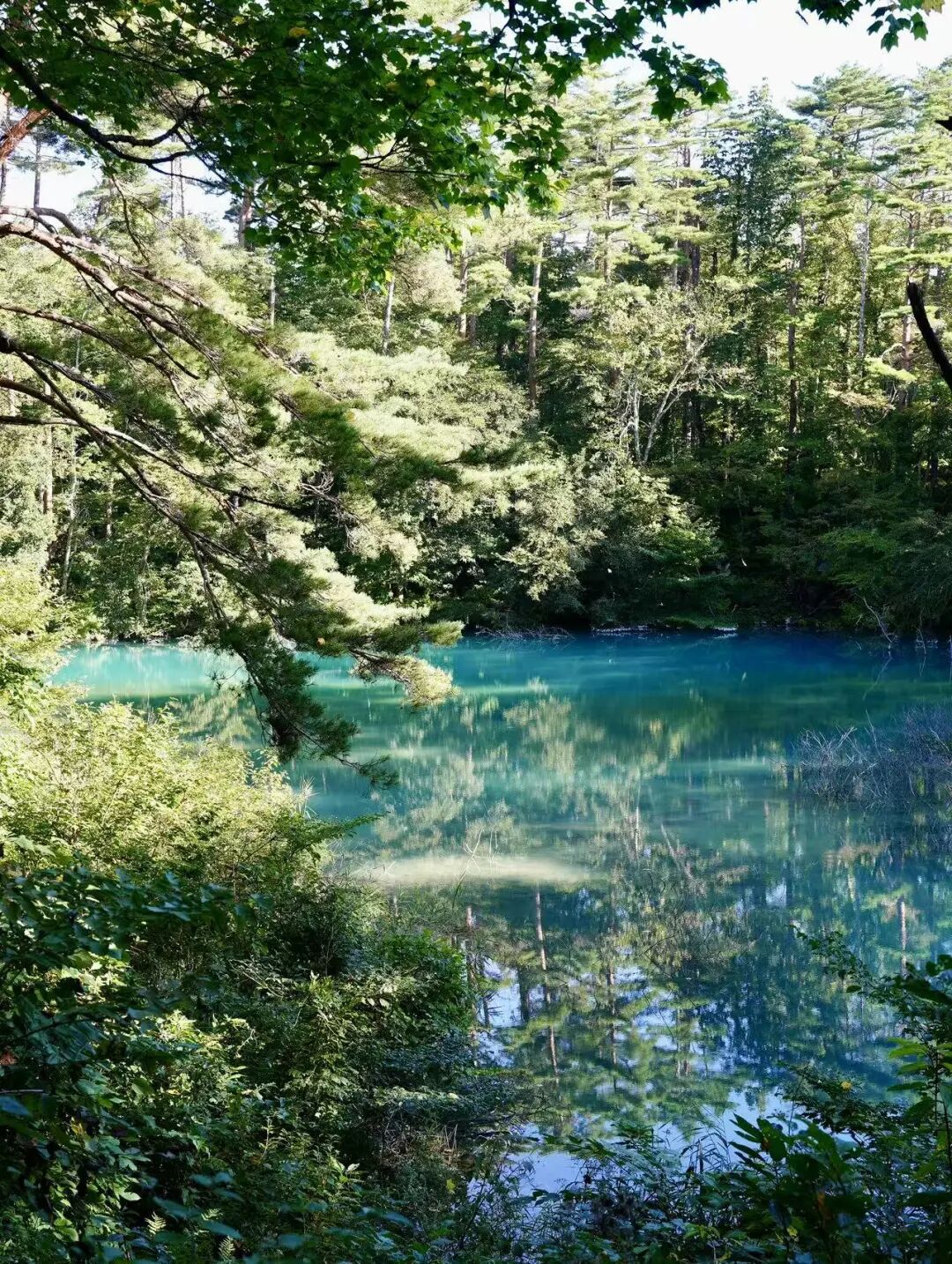 山迹街ESSAY｜何以会津？