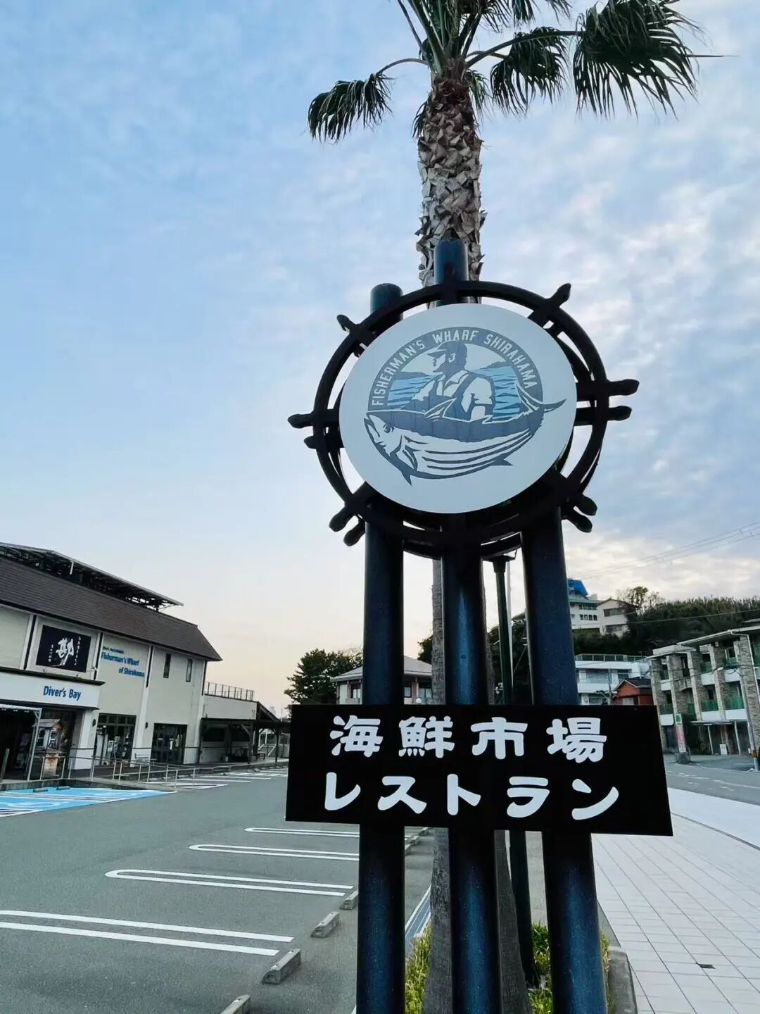 山迹街GoOut｜山樱古道满，熊野遍路时（2026年樱花季熊野古道徒步）