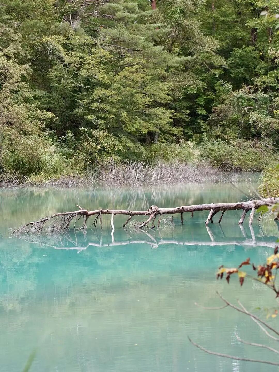 山迹街ESSAY｜何以会津？