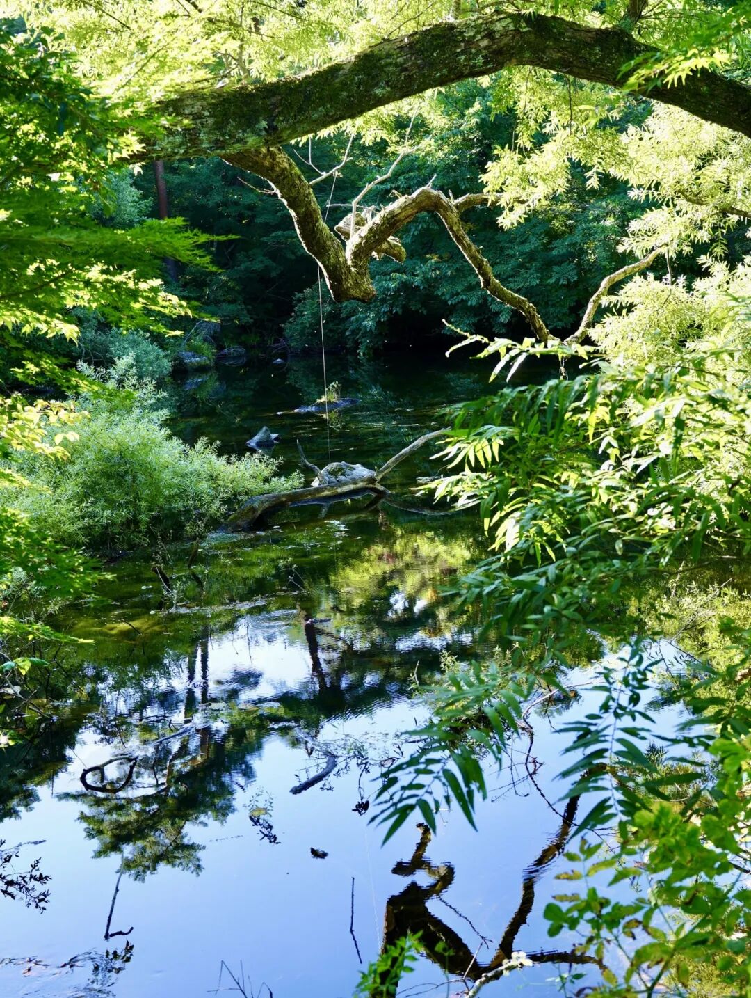 山迹街ESSAY｜何以会津？