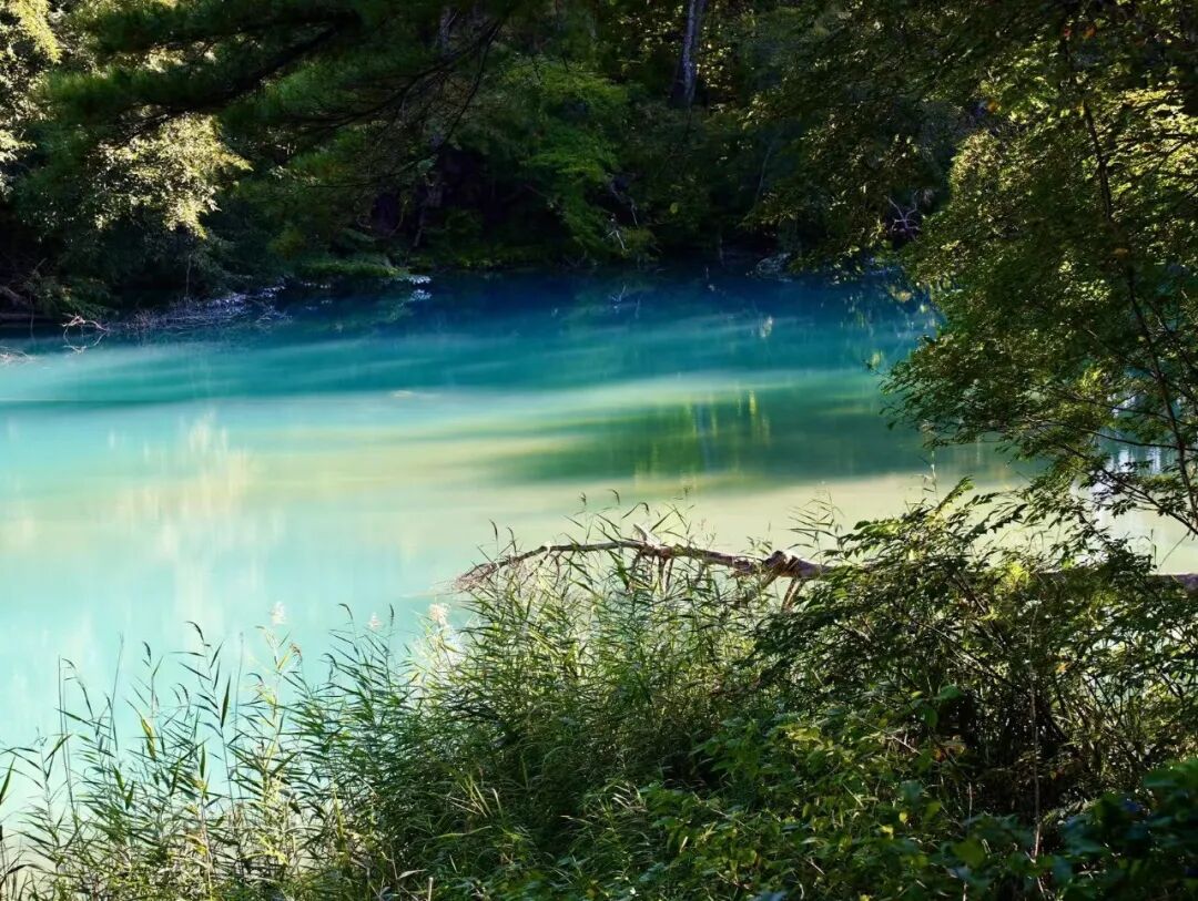 山迹街ESSAY｜何以会津？