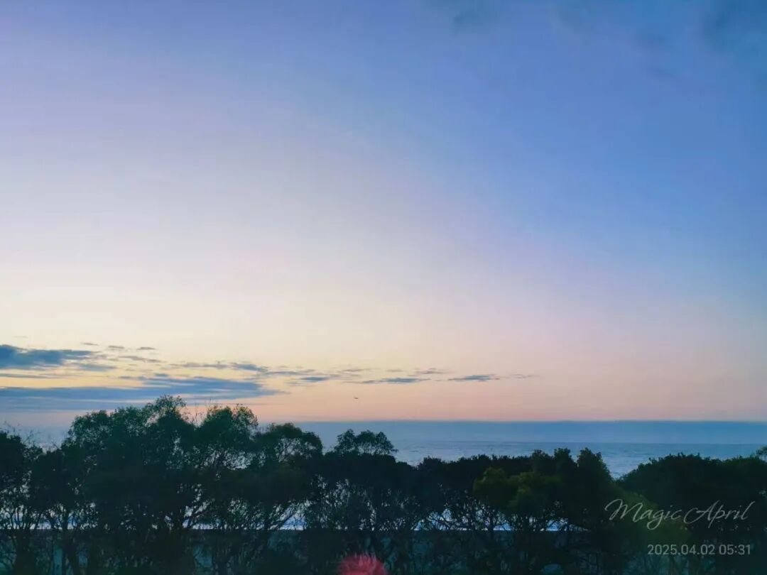 山迹街GoOut｜山樱古道满，熊野遍路时（2026年樱花季熊野古道徒步）