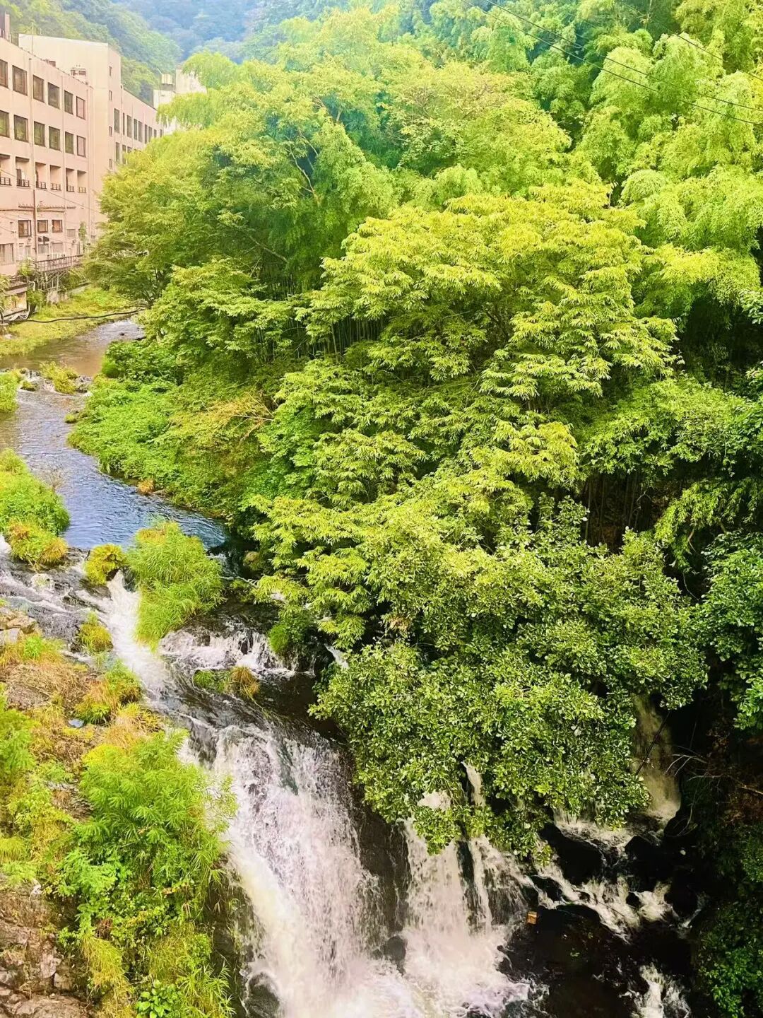 山迹街ESSAY｜何以会津？