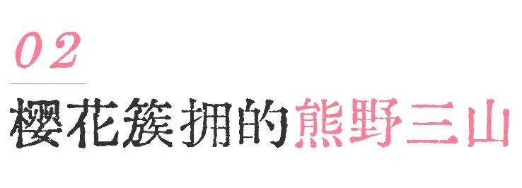 山迹街GoOut｜山樱古道满，熊野遍路时（2026年樱花季熊野古道徒步）