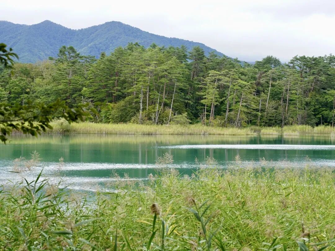 山迹街ESSAY｜何以会津？